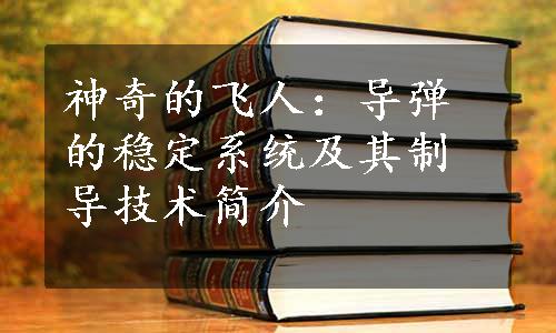 神奇的飞人：导弹的稳定系统及其制导技术简介