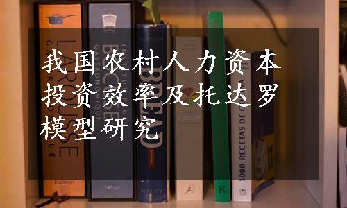 我国农村人力资本投资效率及托达罗模型研究