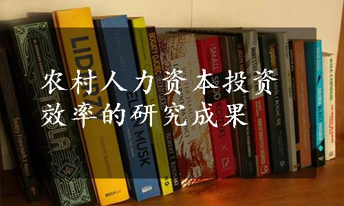 农村人力资本投资效率的研究成果