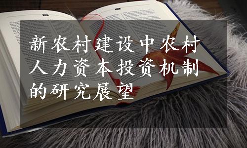 新农村建设中农村人力资本投资机制的研究展望