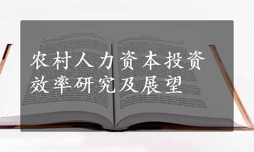 农村人力资本投资效率研究及展望