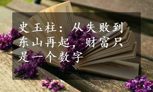 史玉柱：从失败到东山再起，财富只是一个数字