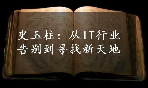 史玉柱：从IT行业告别到寻找新天地