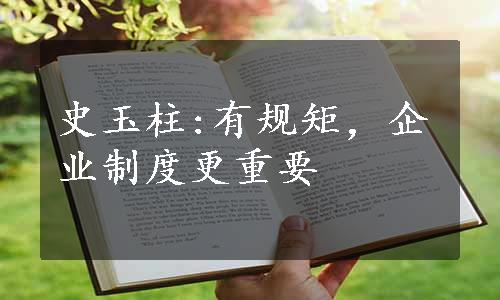 史玉柱:有规矩，企业制度更重要