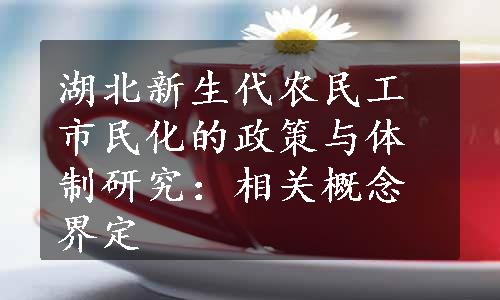 湖北新生代农民工市民化的政策与体制研究：相关概念界定