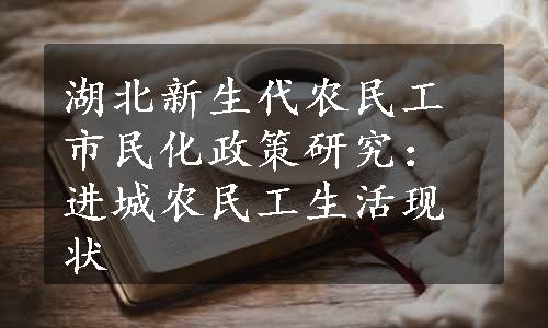 湖北新生代农民工市民化政策研究：进城农民工生活现状