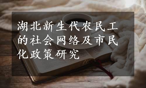 湖北新生代农民工的社会网络及市民化政策研究