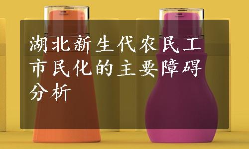 湖北新生代农民工市民化的主要障碍分析