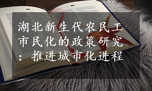 湖北新生代农民工市民化的政策研究：推进城市化进程