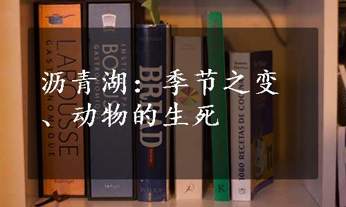 沥青湖：季节之变、动物的生死