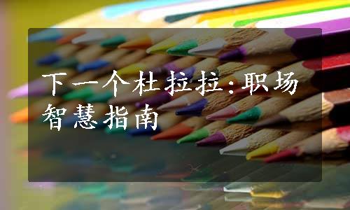 下一个杜拉拉:职场智慧指南