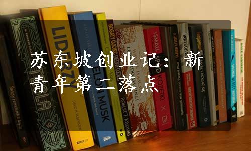 苏东坡创业记：新青年第二落点