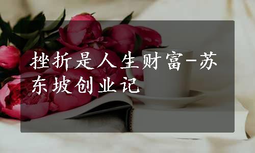 挫折是人生财富-苏东坡创业记