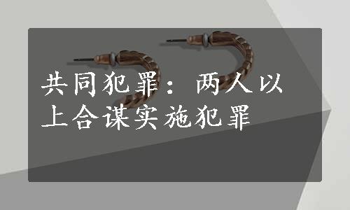 共同犯罪：两人以上合谋实施犯罪