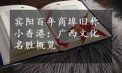 宾阳百年商埠旧称小香港：广西文化名胜概览