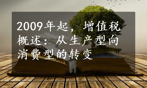 2009年起，增值税概述：从生产型向消费型的转变