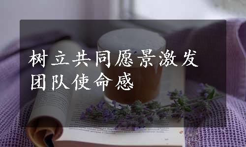 树立共同愿景激发团队使命感