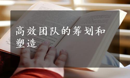 高效团队的筹划和塑造