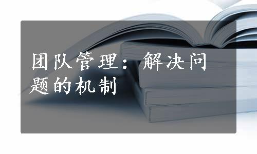 团队管理：解决问题的机制