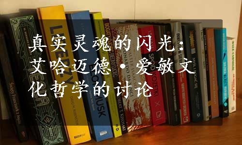 真实灵魂的闪光：艾哈迈德·爱敏文化哲学的讨论