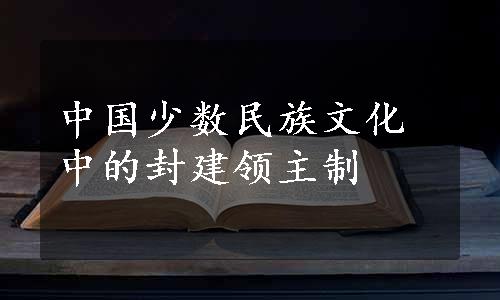 中国少数民族文化中的封建领主制