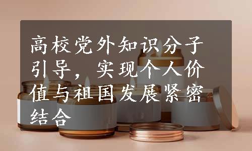 高校党外知识分子引导，实现个人价值与祖国发展紧密结合