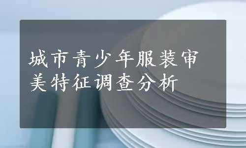 城市青少年服装审美特征调查分析