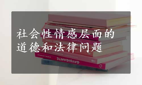 社会性情感层面的道德和法律问题