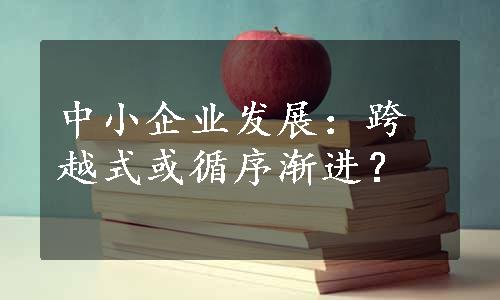 中小企业发展：跨越式或循序渐进？