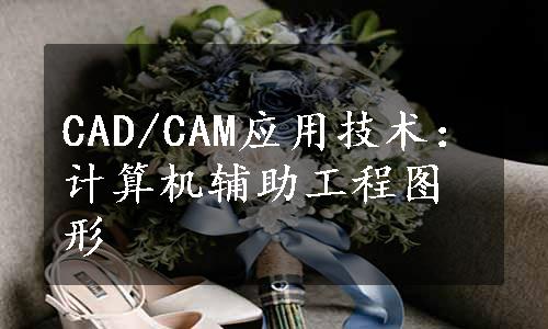 CAD/CAM应用技术：计算机辅助工程图形