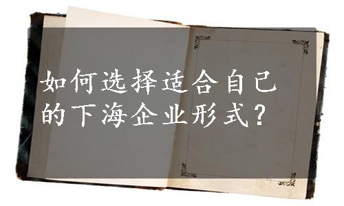 如何选择适合自己的下海企业形式？