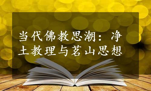 当代佛教思潮：净土教理与茗山思想