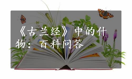 《古兰经》中的什物：百科问答