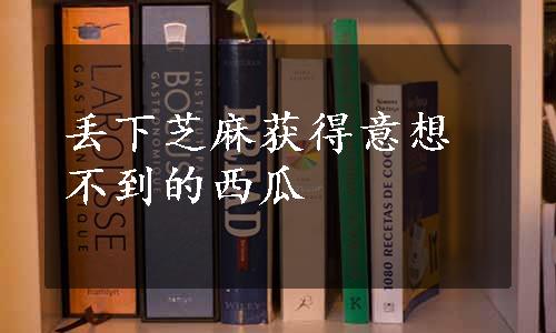 丢下芝麻获得意想不到的西瓜