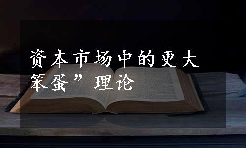 资本市场中的更大笨蛋”理论