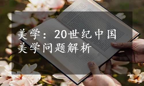 美学：20世纪中国美学问题解析