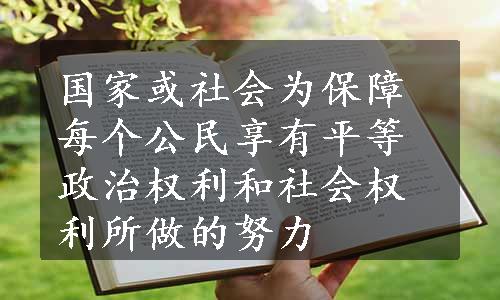 国家或社会为保障每个公民享有平等政治权利和社会权利所做的努力