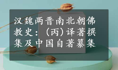 汉魏两晋南北朝佛教史：(丙)译著撰集及中国自著纂集