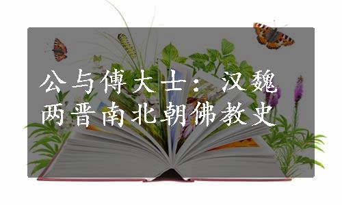 公与傅大士：汉魏两晋南北朝佛教史