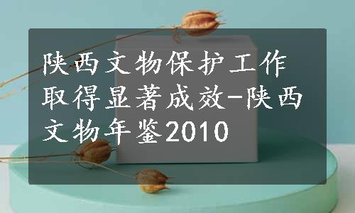 陕西文物保护工作取得显著成效-陕西文物年鉴2010