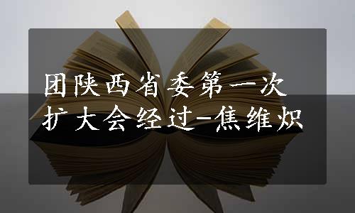 团陕西省委第一次扩大会经过-焦维炽