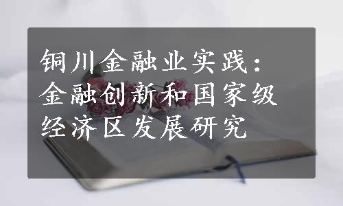 铜川金融业实践：金融创新和国家级经济区发展研究