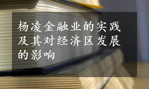 杨凌金融业的实践及其对经济区发展的影响