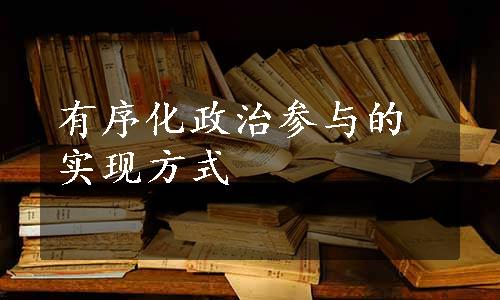 有序化政治参与的实现方式