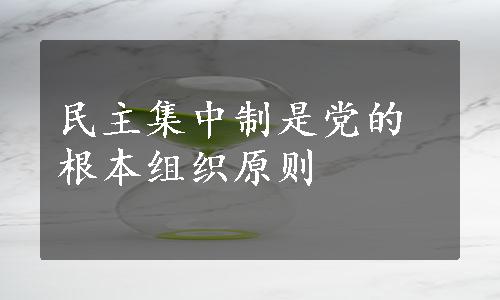 民主集中制是党的根本组织原则