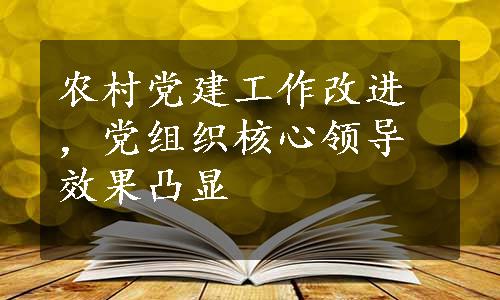 农村党建工作改进，党组织核心领导效果凸显