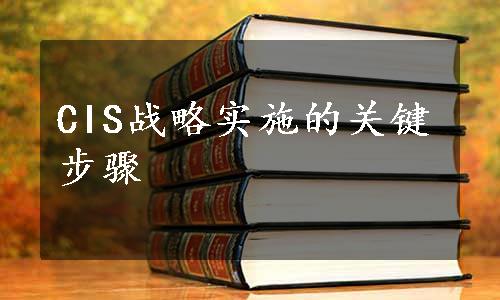 CIS战略实施的关键步骤