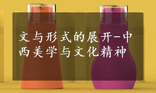 文与形式的展开-中西美学与文化精神