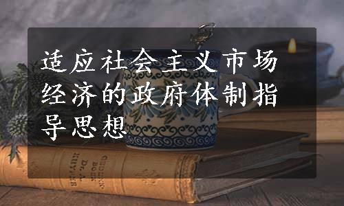 适应社会主义市场经济的政府体制指导思想