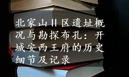 北家山Ⅱ区遗址概况与勘探布孔：开城安西王府的历史细节及记录